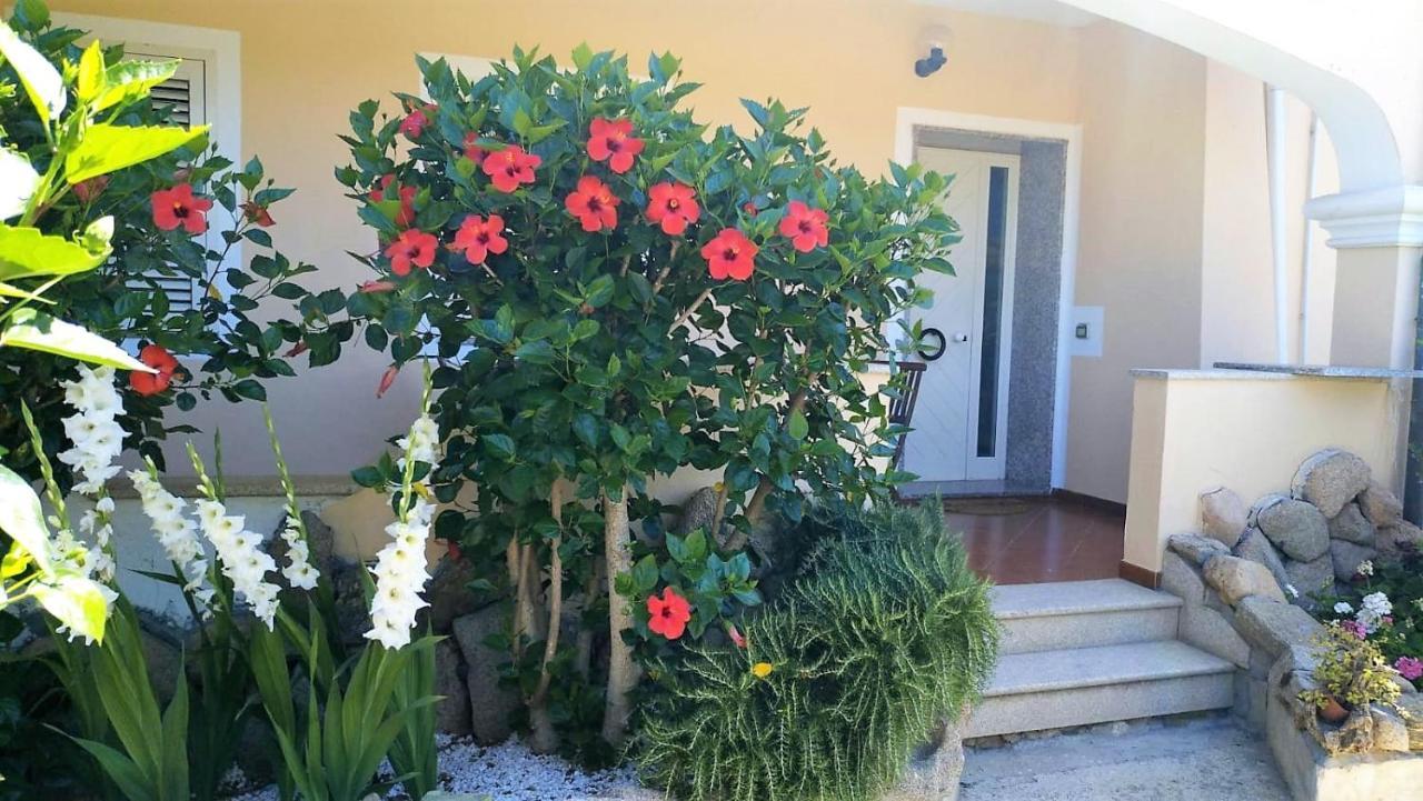 Ferienwohnung Dolce Hibiscus Olbia Exterior foto