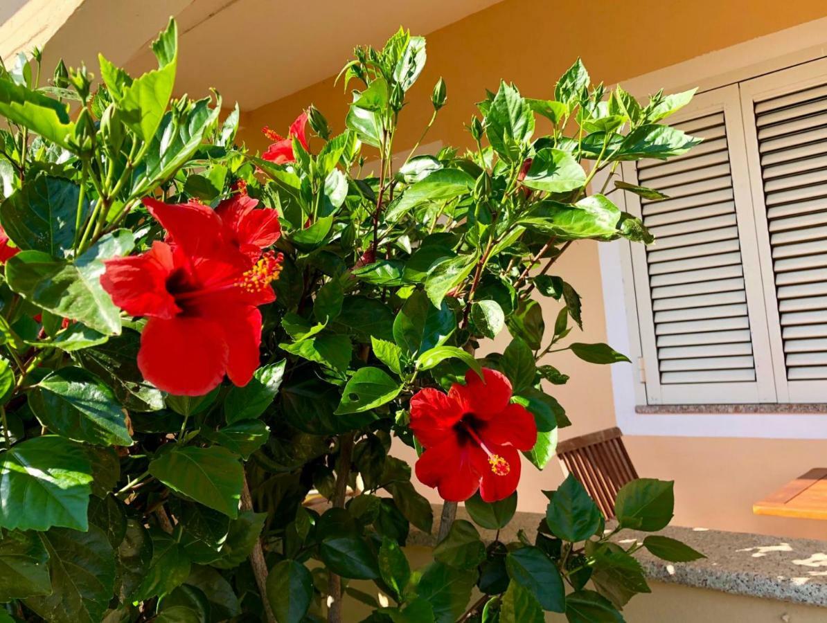 Ferienwohnung Dolce Hibiscus Olbia Exterior foto